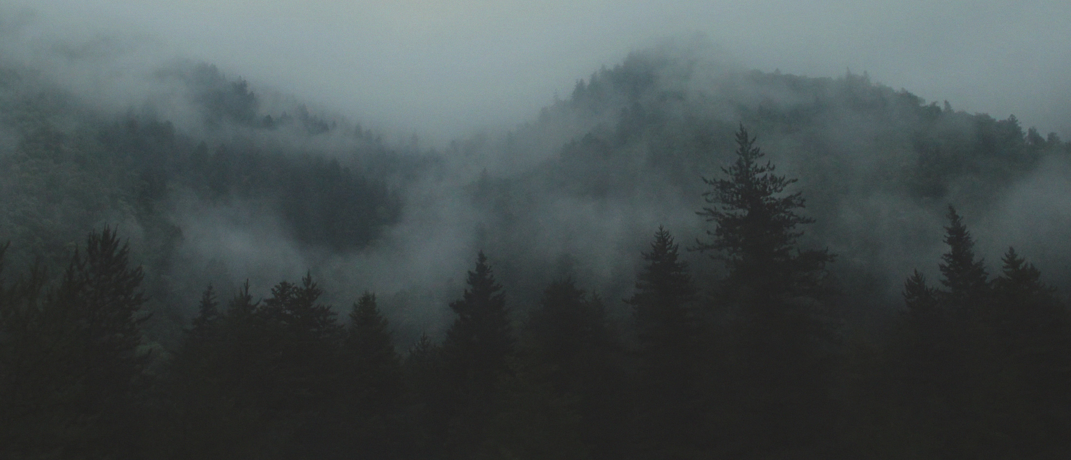 Nature View